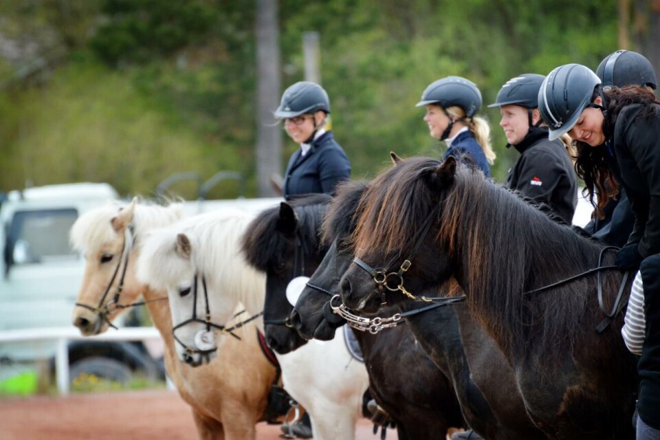 Nästa år arrangeras NM för islandshästar på Åland. Foto: Linnea Mattsson