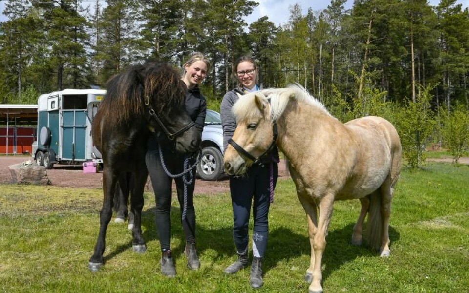 Foto: Daniel ErikssonFoto: