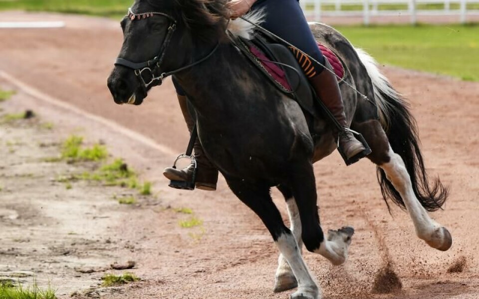 Foto: Robert JanssonFoto: