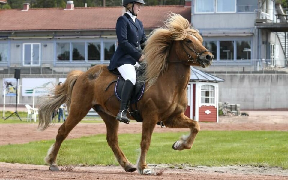 Foto: Robert JanssonFoto: