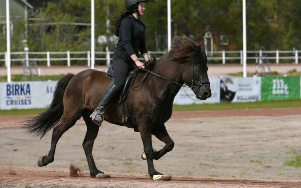 Foto: Robert JanssonFoto: