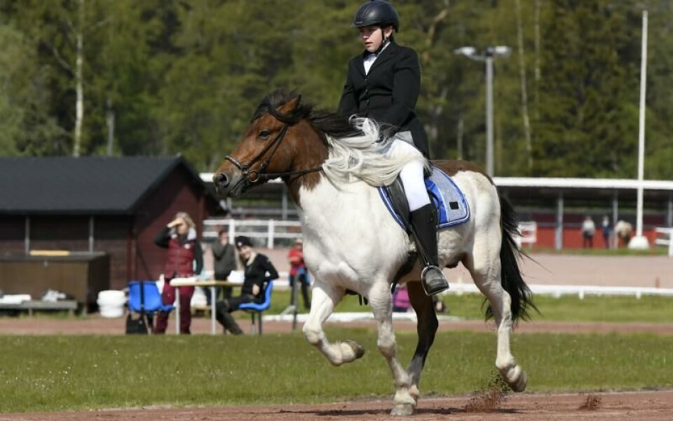 Foto: Robert JanssonFoto: