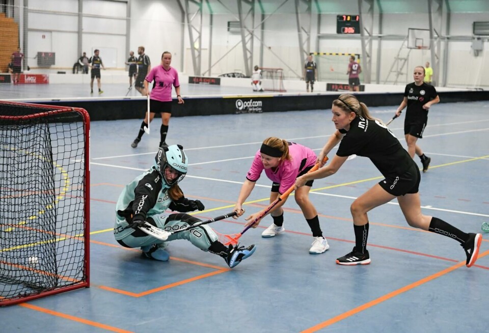 Sex matcher grundserien samt ett slutspel återstår att spela i damserien. Innebandy