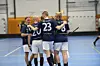 Vikinga hallen, Innebandy herrar