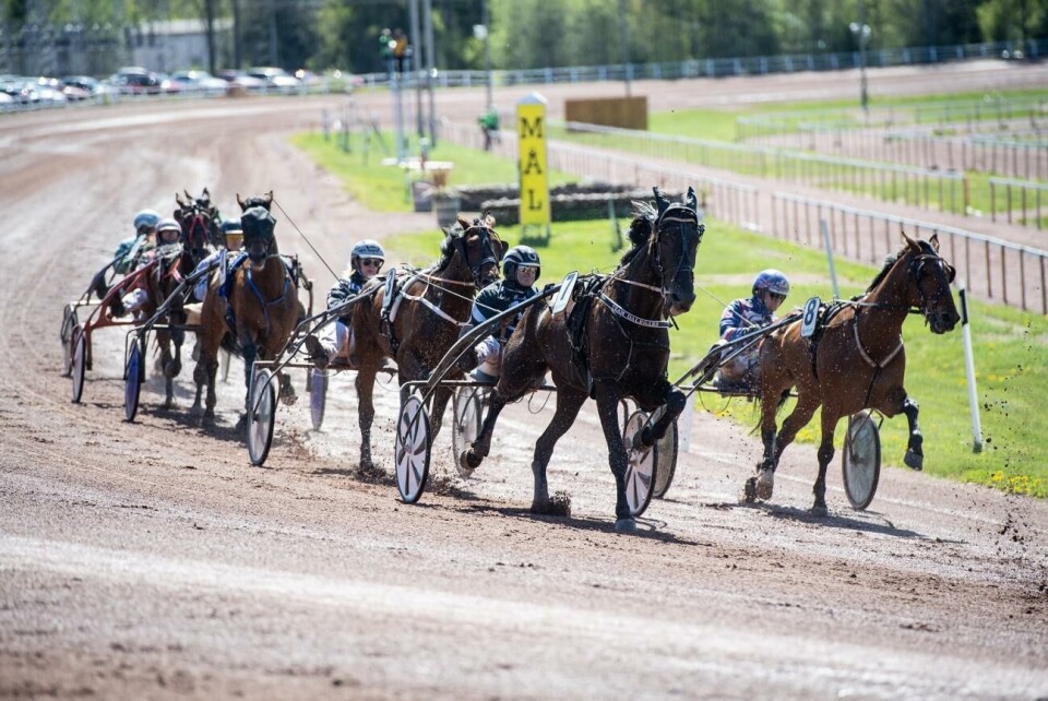 Ålandstravet har lockat 58 hästar till sju lopp i lördagens V65-tävlingar på Norrböleovalen.