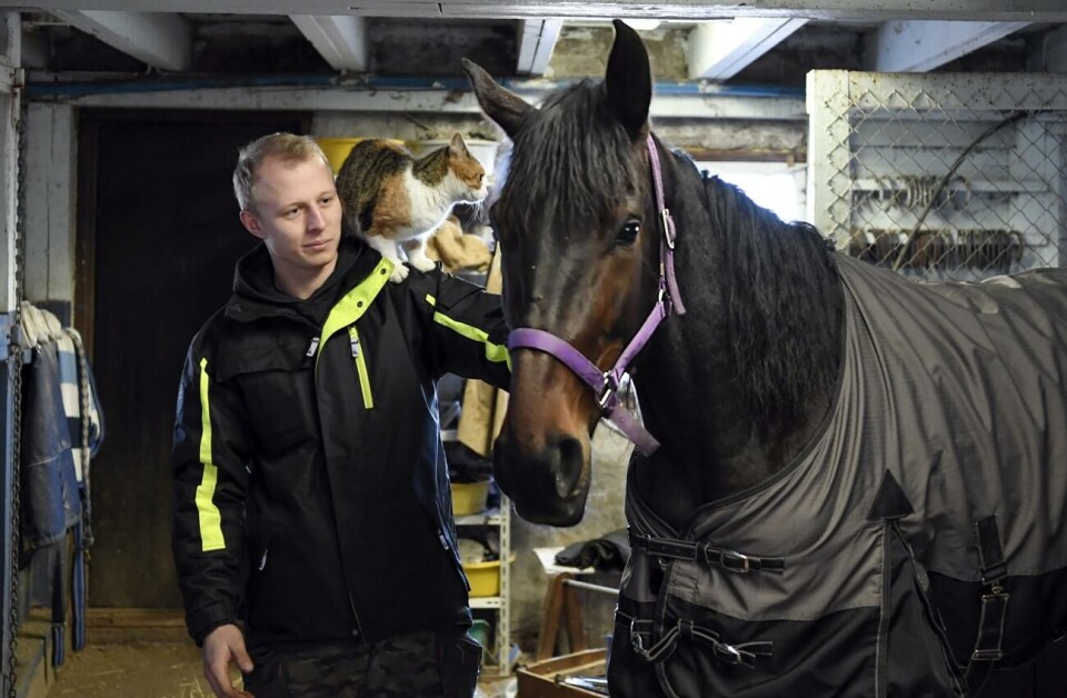 Stall Haddnäs bästa chans under lördagen är Twilight Angel, som ägs och körs av Jonas Rosenberg. Här ser vi de båda tillsammans med katten Ester. Foto: Robert Jansson