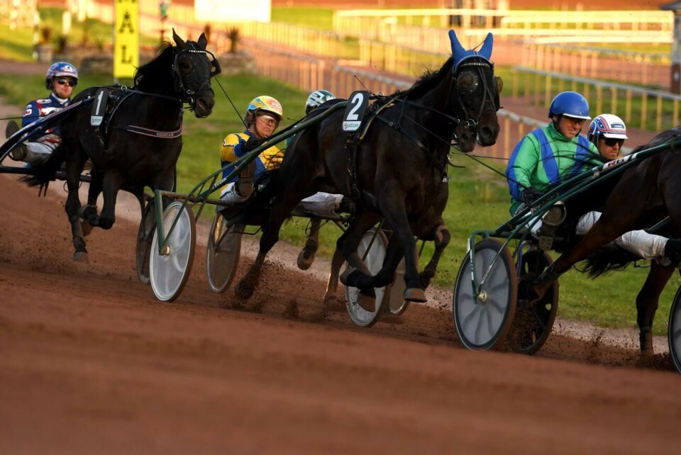 Barbro Carlsson har två hästar till start på Solvalla i kväll, bland annat Show Time som gör upp om 100.000 kronor i förstapris. *** Local Caption *** @Bildtext:Efter ett lopp längre bak i andraspår lyckades Barbro Carlsson spurta in Show Time som tvåa.@Normal:Foto: Sofia Södergårdh