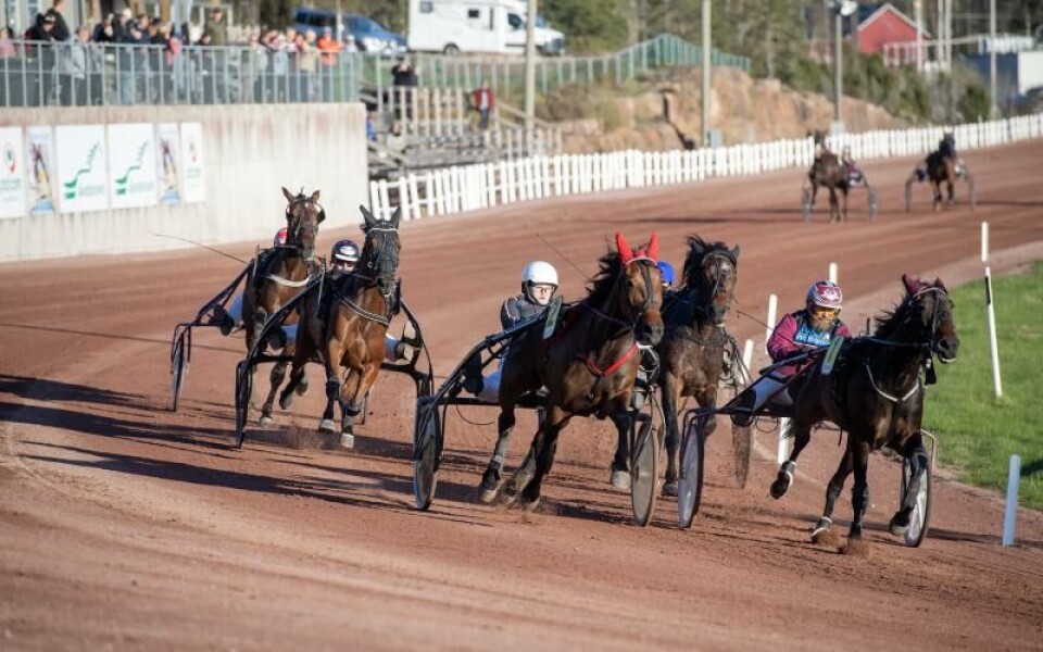 Foto: Hulya Tokur Ehres