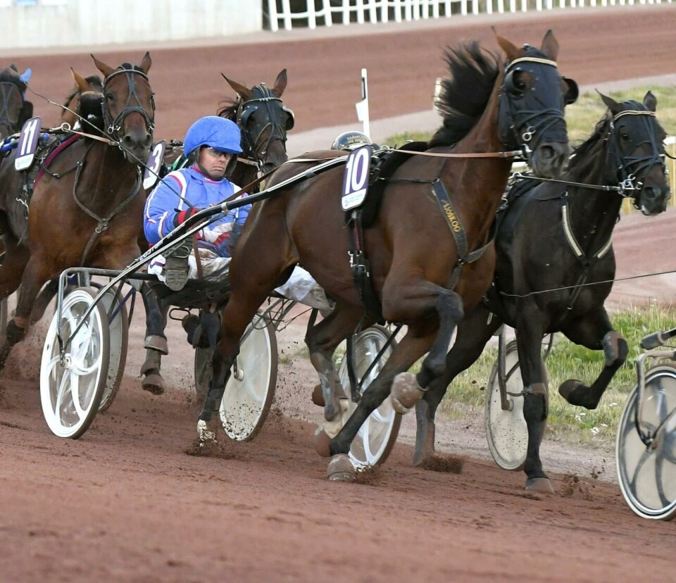 Jan Söderström och Delilas Magi var en av sju åländska ekipage som tävlade på Solvalla på söndagen. 090722 , 09072022 , 20220709 , Trav , Ålandstravet , Ålandspokalen , Sixten Carlssons minneslopp , Jan Söderström och Delilas *** Local Caption *** @Bildtext:Jan Söderström och Delilas Magi pressade länge ledaren i Sixten Carlssons minneslopp men föll tillbaka som trea.@Normal:Foto: Robert Jansson