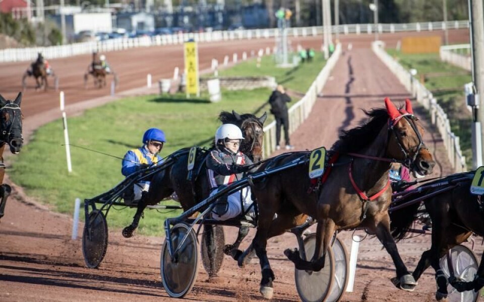 Foto: Hulya Tokur Ehres
