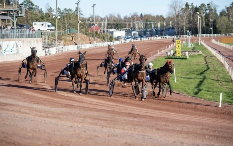 Foto: Hulya Tokur Ehres