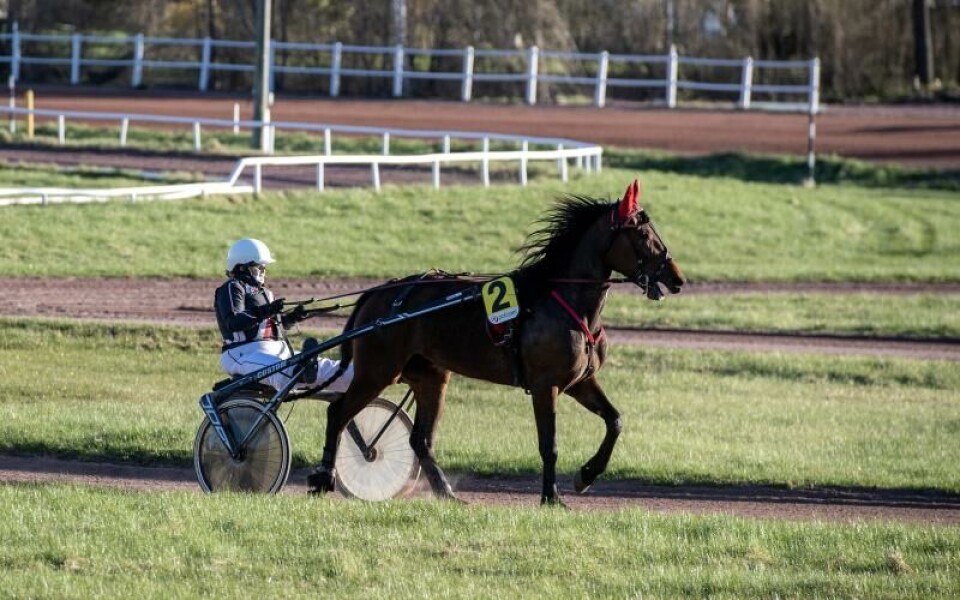 Foto: Hulya Tokur Ehres