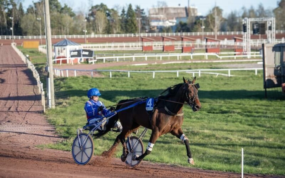 Foto: Hulya Tokur Ehres