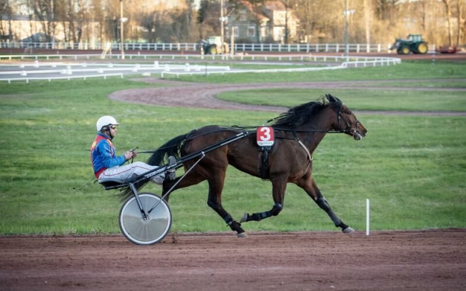 Foto: Hulya Tokur Ehres