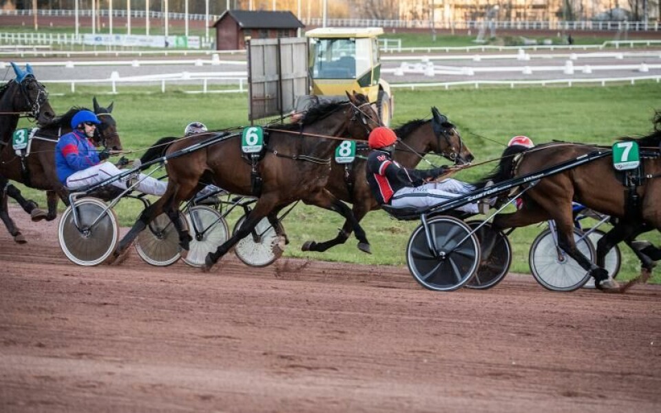 Foto: Hulya Tokur Ehres