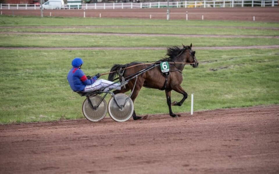 Foto: Hulya Tokur Ehres