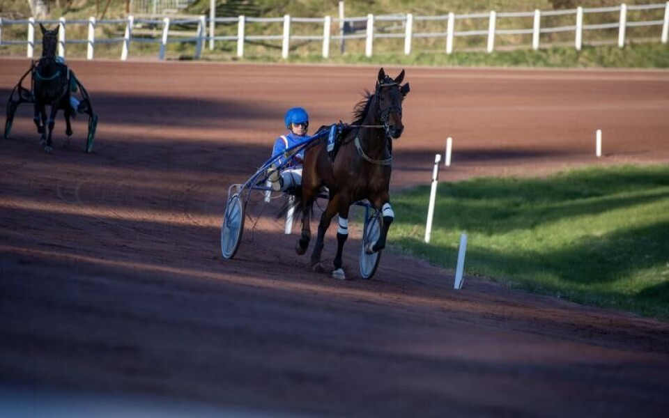 Foto: Hulya Tokur Ehres