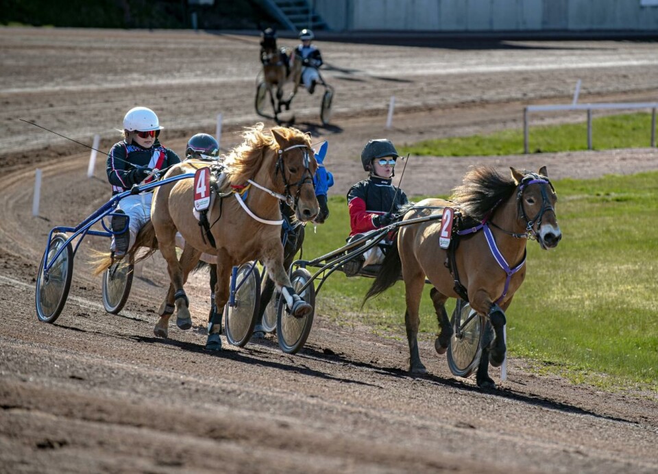 Nanny Eriksson och Extra Set (till vänster) vann ett lopp och slutade trea i ett annat.