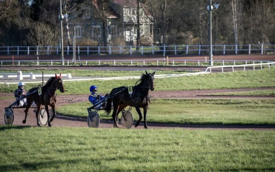 Foto: Hulya Tokur Ehres
