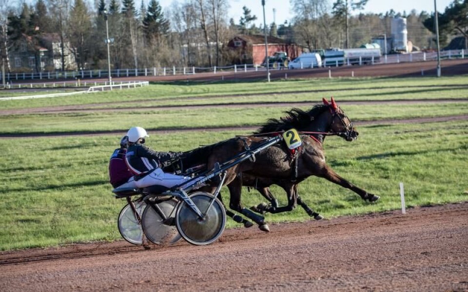 Foto: Hulya Tokur Ehres
