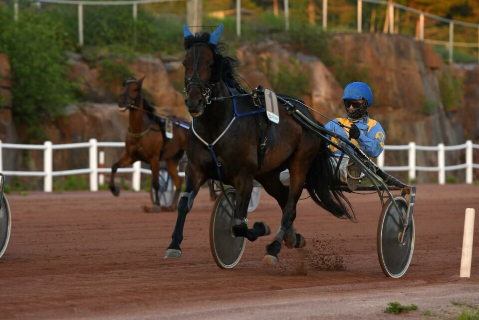 Twilight Angel med Jonas Rosenberg i sulkyn lär bli favoriter i sitt lopp på lördag. Twilight Angel och Jonas Rosenberg hoppade dessvärre bort sig redan i starten.