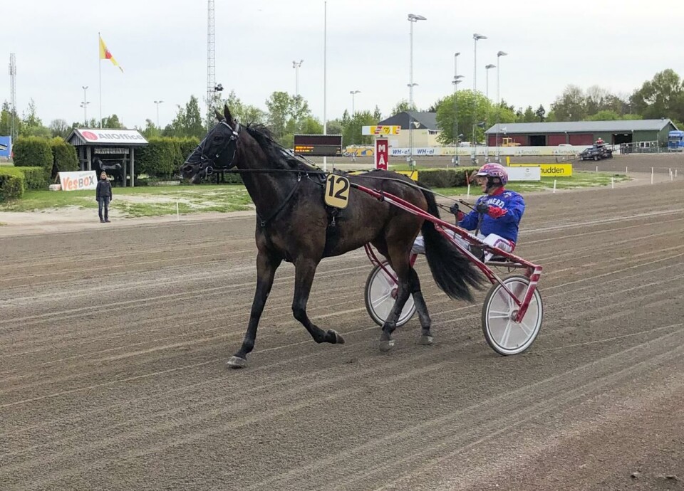 Jeppas Uppercut och kusken Torbjörn Jansson placerade sig som trea i V75-3 på Gävletravet i lördags. Foto: Anders Holmberg