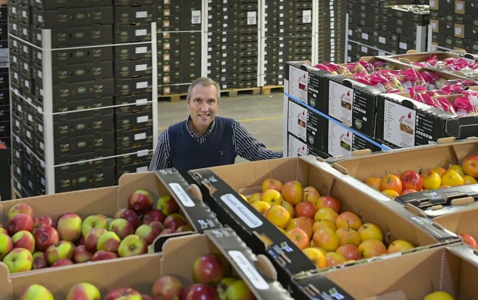 ”Vi får acceptera att det är så här” Hundra pallar med frukt, lök och grönsaker skickas under måndagen till kunder över hela Finland, enligt Ålands trädgårdshalls vd Tord Sarling.@Foto:Robert Jansson