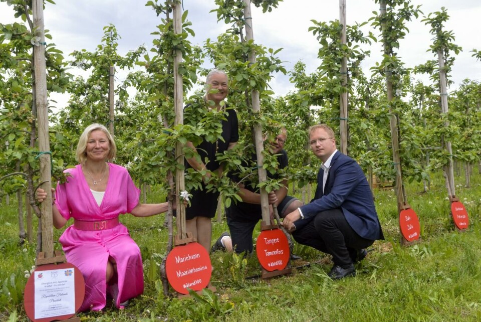 Barabara Heinonen, Anna och Jan Alm och Niko Micklin hoppas att finska turister kommer och letar upp sitt eget äppelträd under sommaren. Barabara Heinonen, Anna och Jan Alm och Niko Micklin.