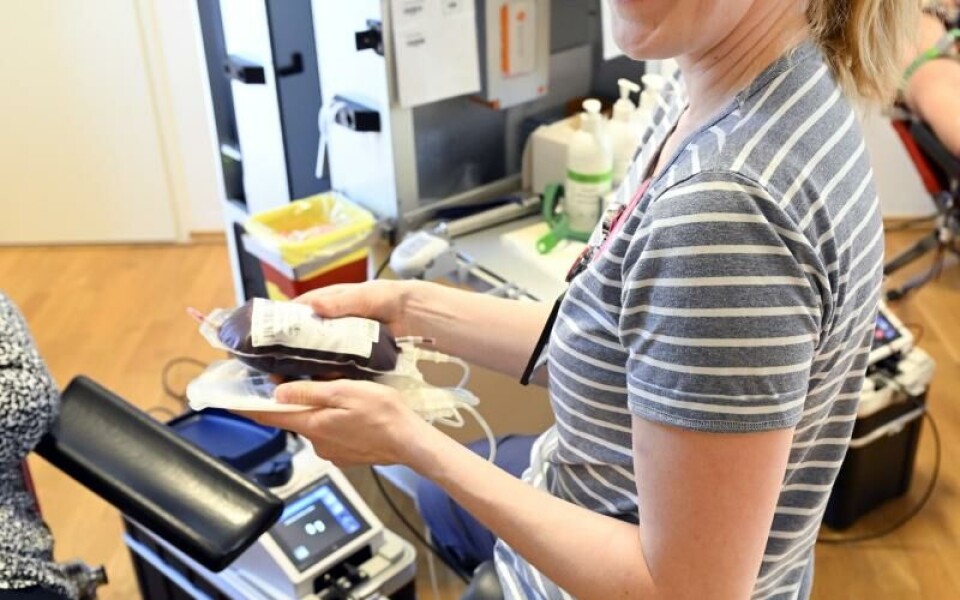 Foto: Robert Jansson