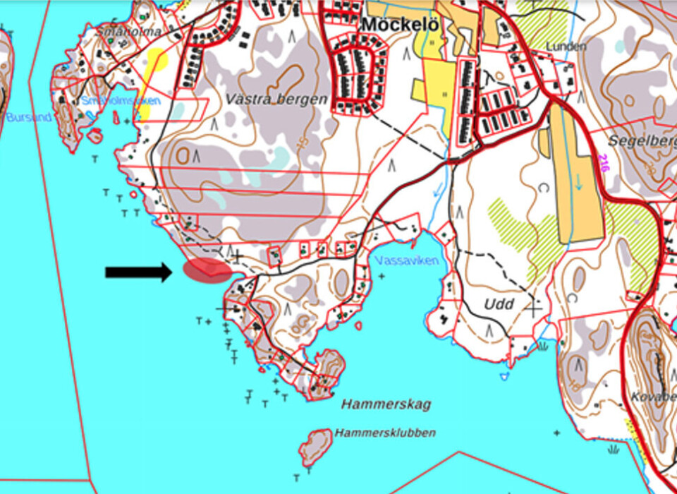 I det rödmarkerade området i Möckelö påträffades det döda vildsvinet.