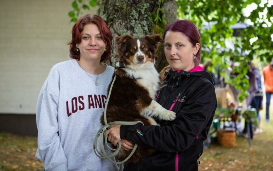 Foto: CajsaSofie Borgstrom