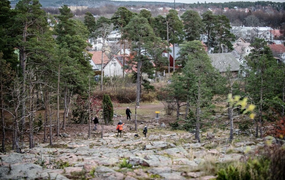 Kultur- och fritidsnämnden lägger bland annat vikt vid banans betydelse som ett rekreationsområde för alla åldrar. Kultur- och fritidsnämnden lägger bland annat vikt vid banans betydelse som ett rekreationsområde för alla åldrar.@Normal_indrag:Hülya Tokur-Ehres