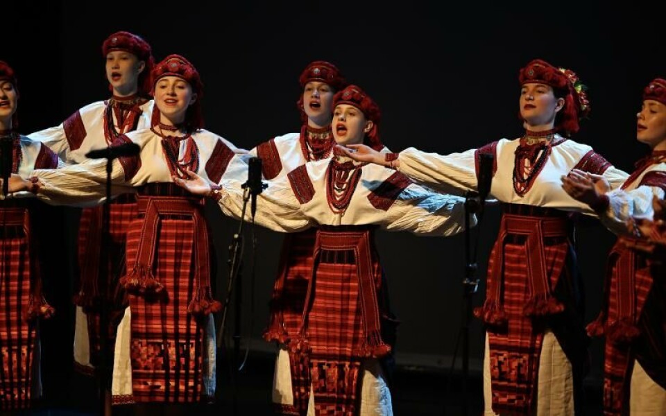 Foto: DANIEL ERIKSSON