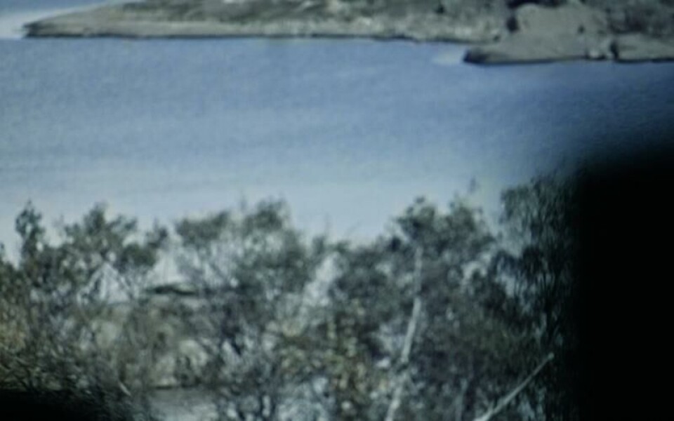 Foto: DANIEL ERIKSSON