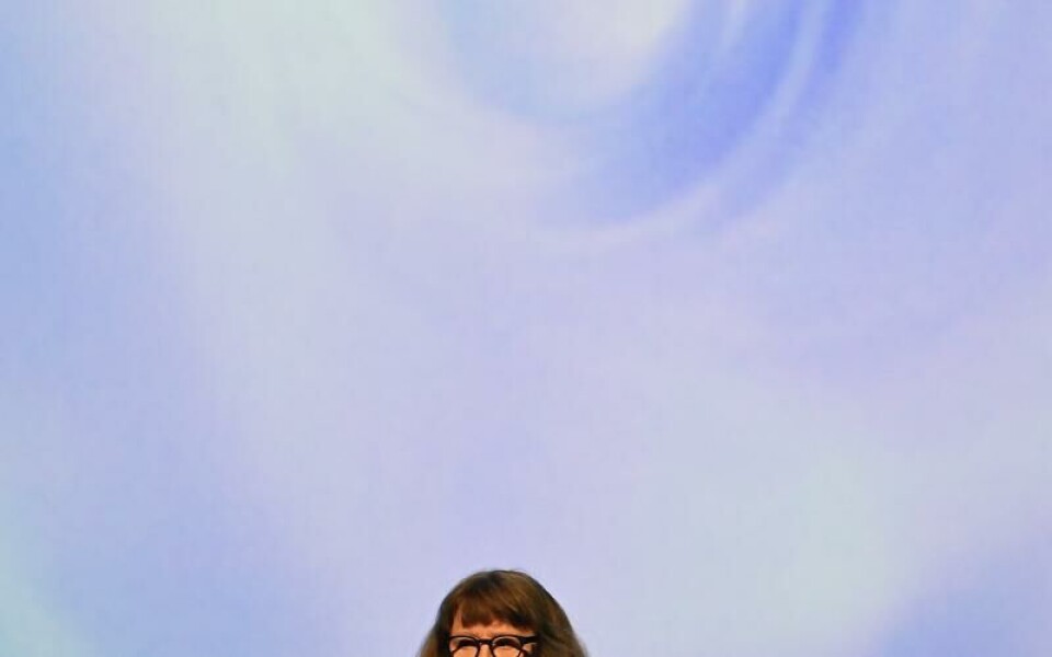 Foto: DANIEL ERIKSSON