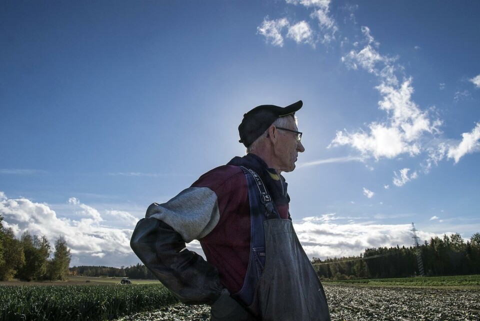 ”Jag tycker att det var det jämnare mellan sol och regn förr. Nu är det torrt och varmt under långa perioder”, säger grönsaksbonden Leif Kalm. Leif Kalm om problem med vildsvin