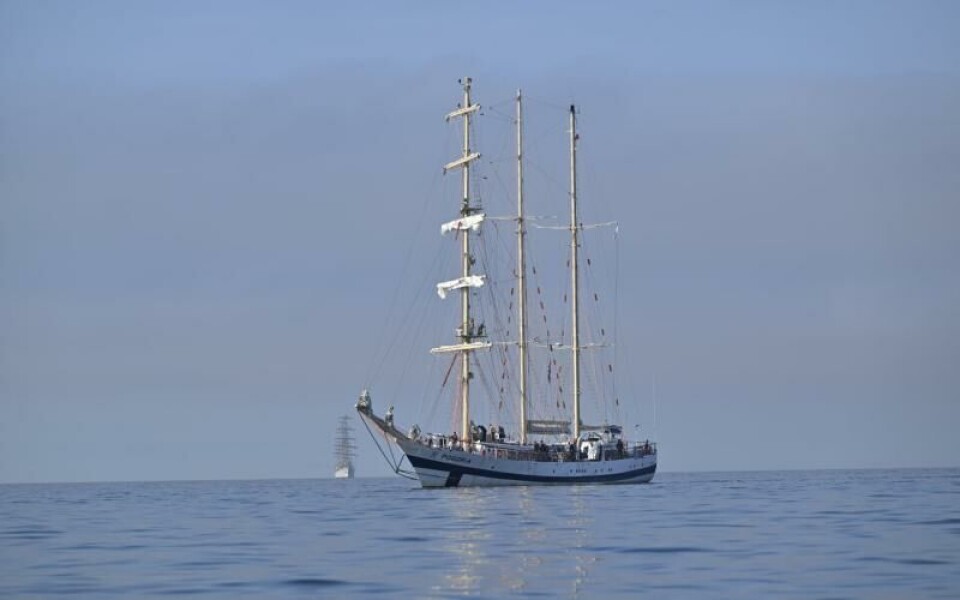 Foto: DANIEL ERIKSSON
