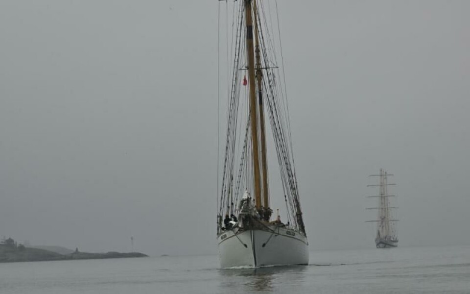 Foto: DANIEL ERIKSSON