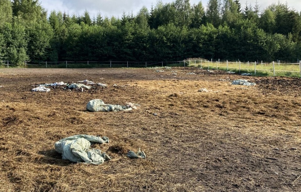 Vinterhagen, som hästarna vistades i även sommartid, var full med balplast, balnät, avföring och gammalt foder. Hästägaren hyrde stallet av en annan person.