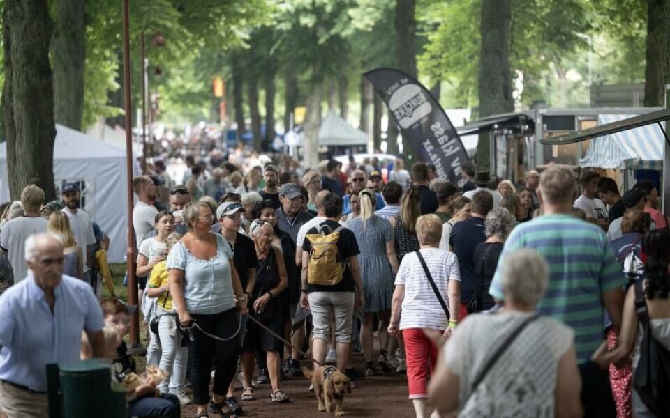 Esplanaden kryllar av försäljare och aktiviteter. Foto: DANIEL ERIKSSON