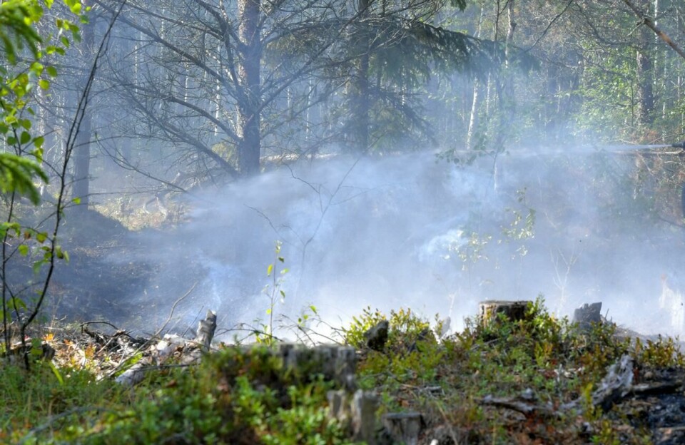Ett mindre område i skogs- och bergterräng brann i Eckerö i morse. Bilden är från ett annat tillfälle. Räddningsledare Henrik Olofsson tror att branden orsakades av ett blixtnedslag som antänt ett träd.