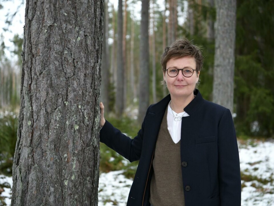 Minister Annika Hambrudd (C) säger att fornminneslagen är föråldrad.