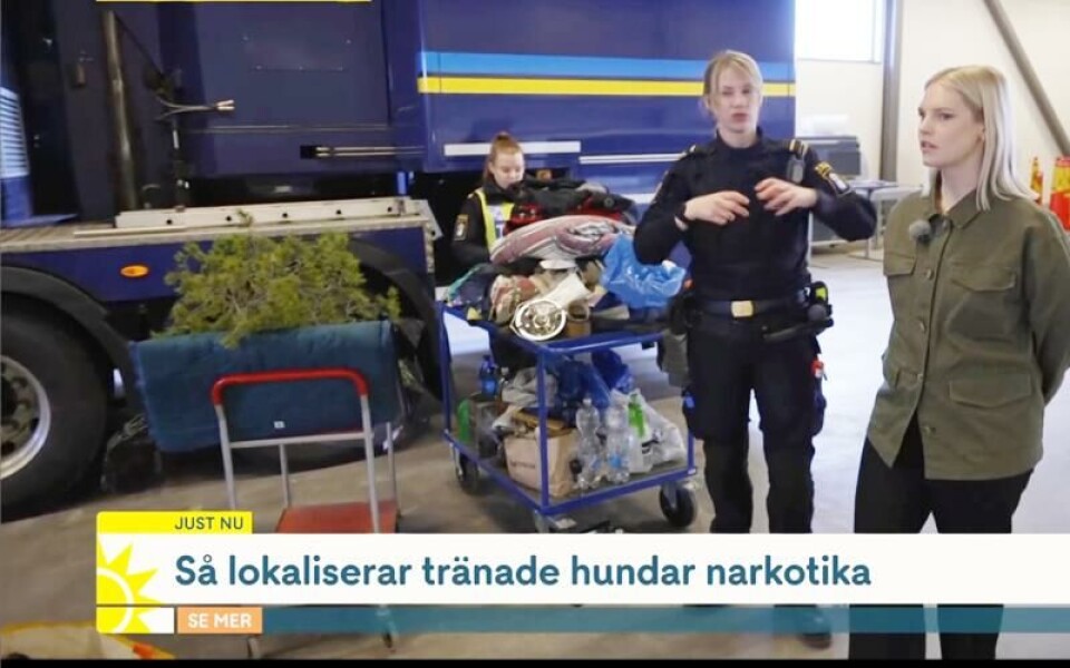 TV4:s reporter Carolin Björnerhag (längst till vänster) tillsammans med tullverkets Mimmi (inget efternamn ges) under morgonsändningen där en frakt från Åland uppmärksammades. Skärmdump från tv4.Foto: