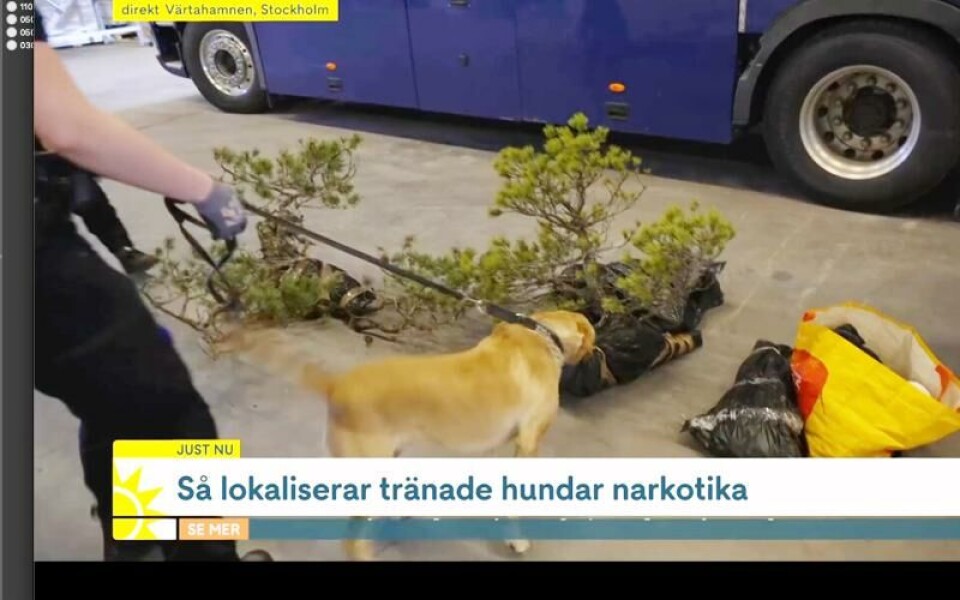 Det rörde sig om en suspekt bil som hade träd från Åland med sig på väg till Tjeckien. Men mannen som framförde fordonet var det inga konstigheter med och han kunde köra vidare till sin destination utan några brottsmisstankar. SkärmdumpFoto: