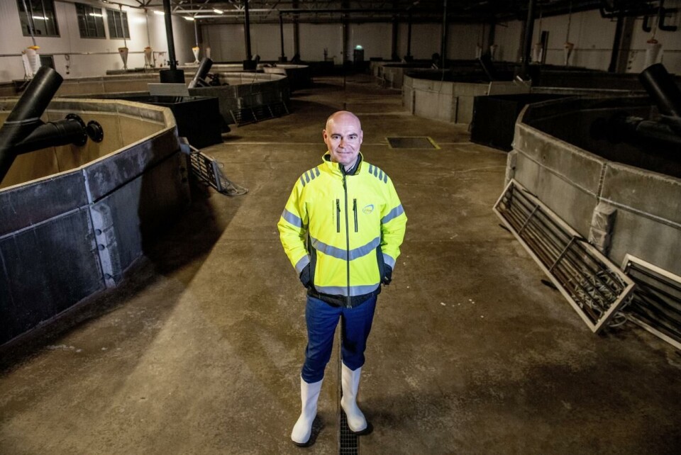 Fifax vd Samppa Ruohtula är glad över aktieägarnas förtroende som nu möjliggör en återuppstart av fiskodlingen. Anläggningen är numera uppdelad i tre enheter om tolv bassänger. Hit har ännu inge fisk kommit efter IHN-smittan i fjol. Just nu har man bara yngel i kläckeri och yngelavdelningen, dit besökare inte får komma.