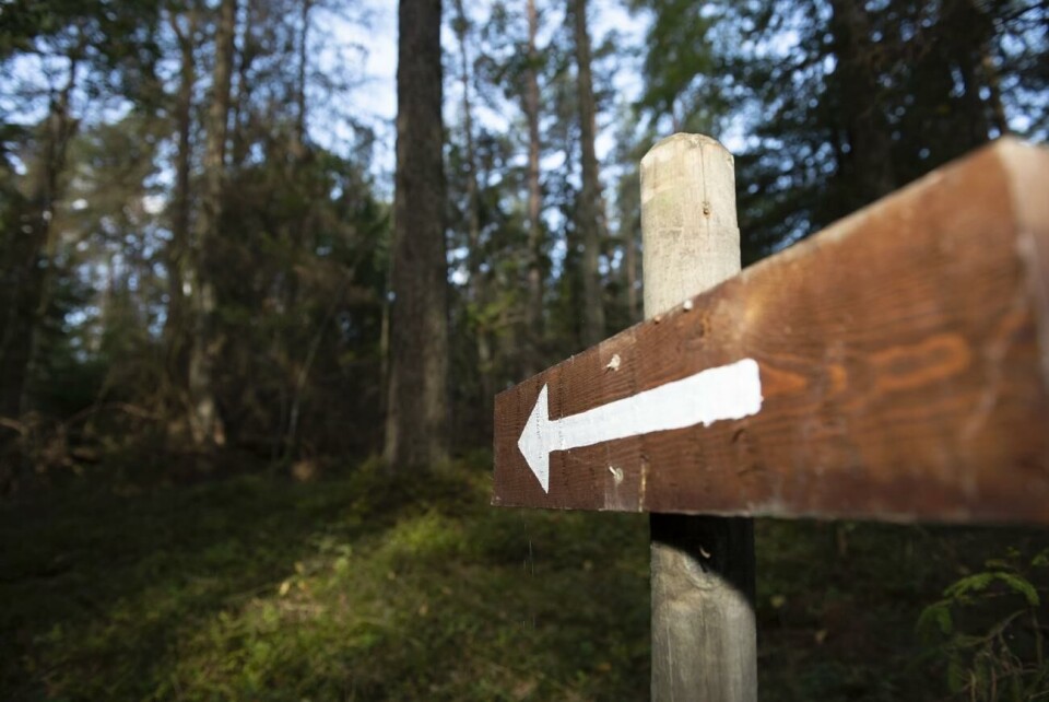 Jomala kommun vill röja upp en naturstig vid Stormossen i Gottby. Bilden visar en annan plats. Jomala kommun vill röja upp en naturstig vid Stormossen i Gottby. Bilden visar en annan plats.@Normal_indrag:Hülya Tokur-Ehres