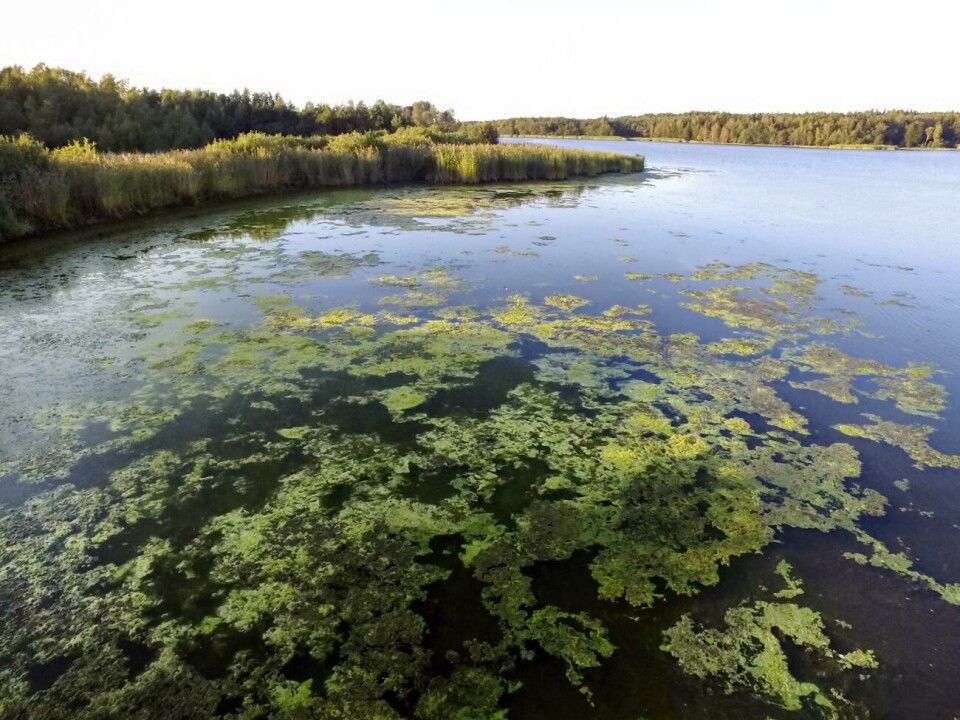 Är det med sådana här bilder vi vill locka turister och potentiella inflyttare framöver?Foto: Robert Jansson Är det med sådana här bilder vi vill locka turister och potentiella inflyttare framöver?Robert Jansson
