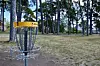 ”Varför lyfter staden endast fram vissa bilagor för medborgarpanelen?”, undrar insändarskribenten inför stadsmiljönämndens beslut om discgolfbanan i Badhusparken.Zeb Holmberg