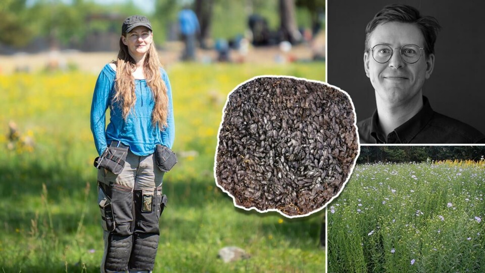 Kristin Ilves, professor i maritim historia och Arkeobotaniker Santeri Vanhanen.