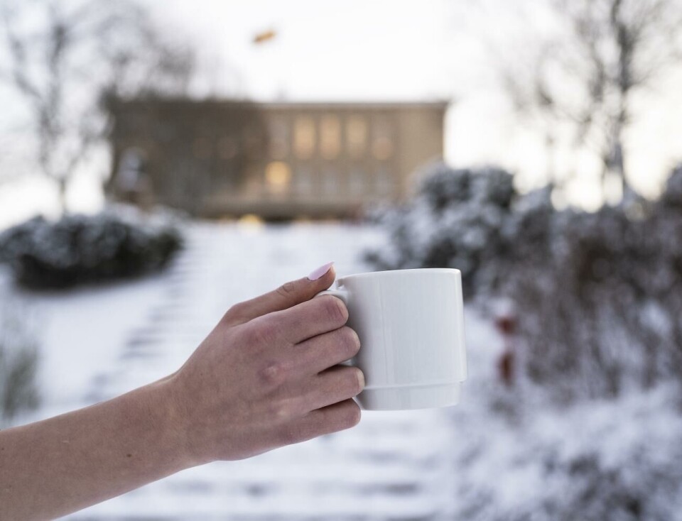 Runt 800 personer jobbar i dag för Mariehamns stad. De ska nu, som många andra kommunanställda, få gratis kaffe på jobbet.